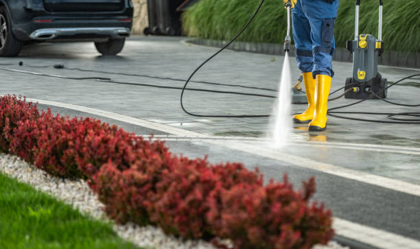 Animal Enclosure Cleaning in Bridgeport, NE